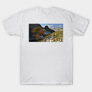 A Winter's day at Peter's Stone, Cressbrook Dale, England T-Shirt